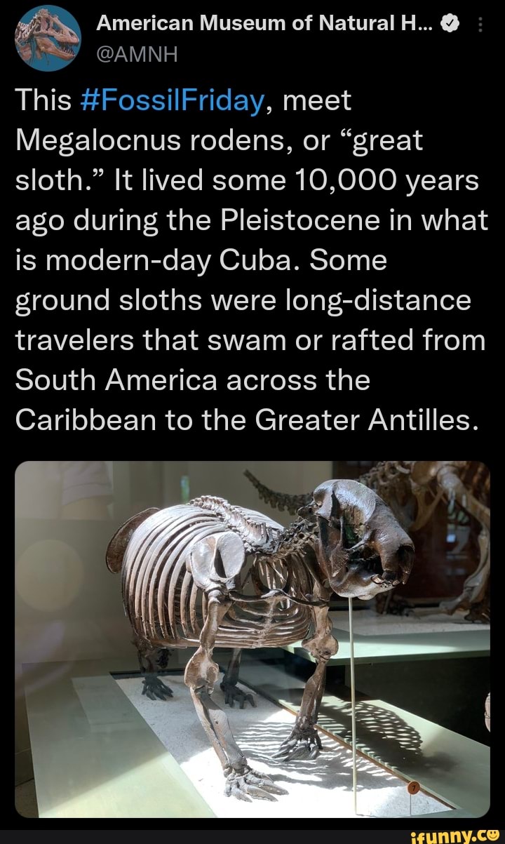 Rodens memes. Best Collection of funny Rodens pictures on iFunny