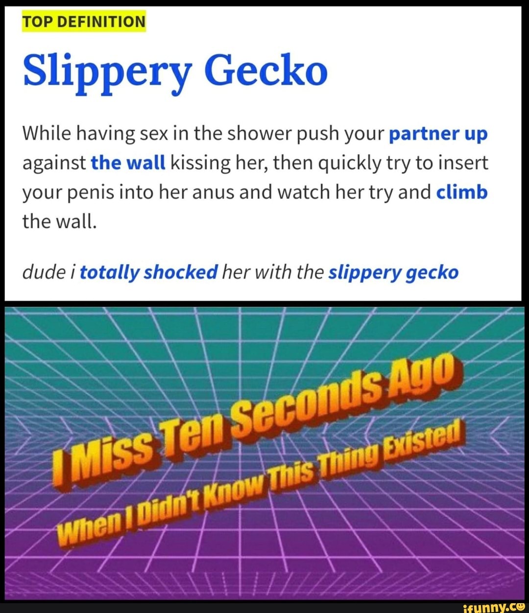 TOP DEFINITION Slippery Gecko While having sex in the shower push your  partner up against the