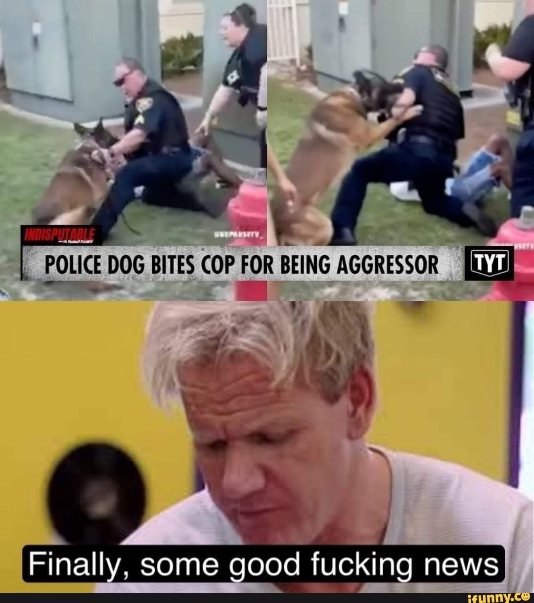 POLICE DOG BITES COP FOR BEING AGGRESSOR Finally, some good fucking