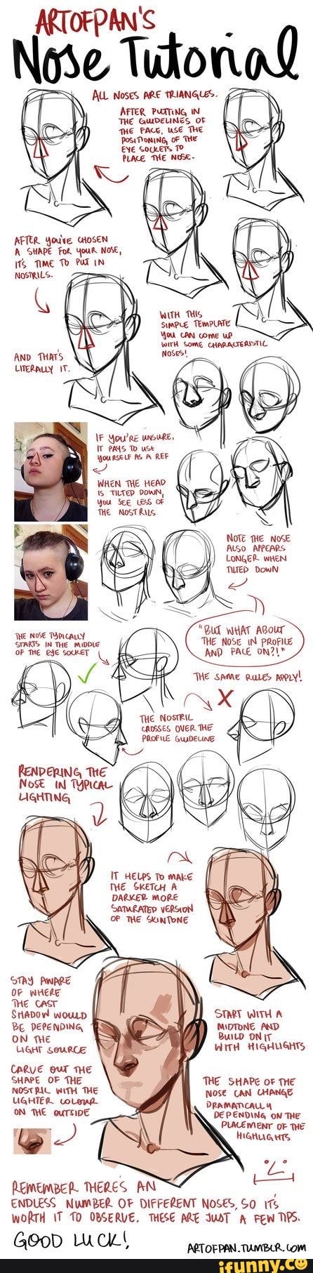 ALL Noses ARE TRIANGLES. AFTER TWe GUIDELINES OF FACE, THE Poss oF THE ...