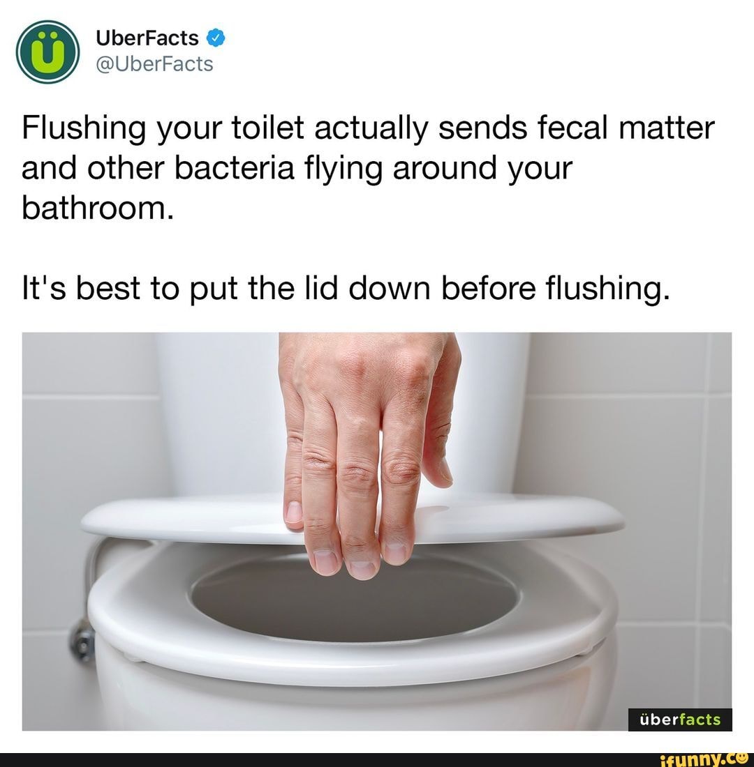UberFacts UberFacts Flushing your toilet actually sends fecal matter