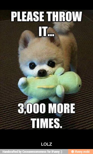 PLEASE THROW
3/000
MORE
TIMES. - LOLZ