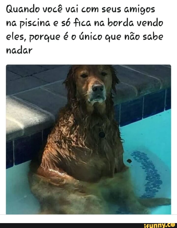 Quando você vai com seus amigos
na piscina e
só fica na
borda vendo
eles, porque é o
único que não sabe
nadar