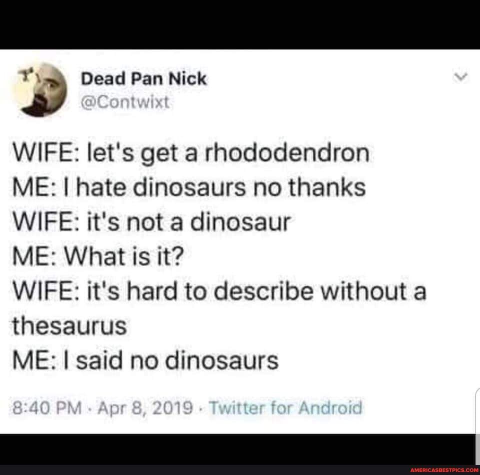 Dead Pan Nick WIFE let's get a rhododendron ME I hate dinosaurs no thanks WIFE it's not a