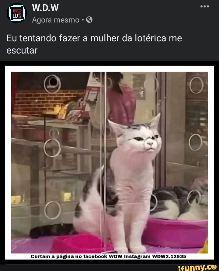 [51 W.D.W
Agora mesmo *
Eu tentando fazer a mulher da lotérica me escutar
Curtam a página no facebook WDW Instagram WDW2.12935