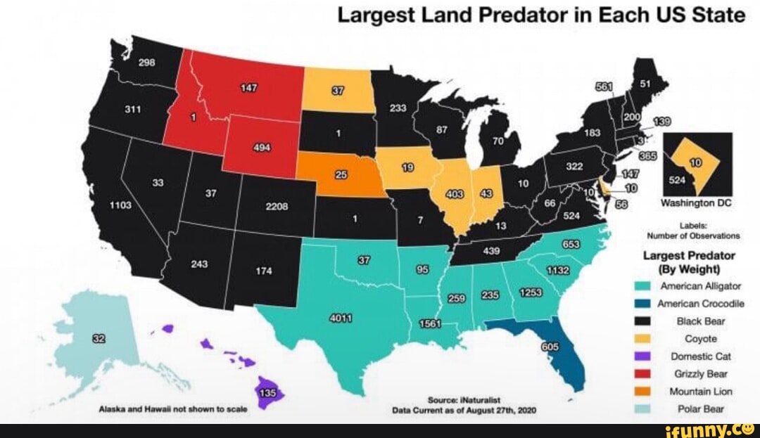 Largest Land Predator in Each US State Source: iNaturalist Data Current ...