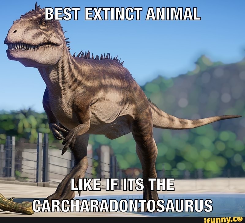 Carcharadontosaurus memes. Best Collection of funny Carcharadontosaurus ...