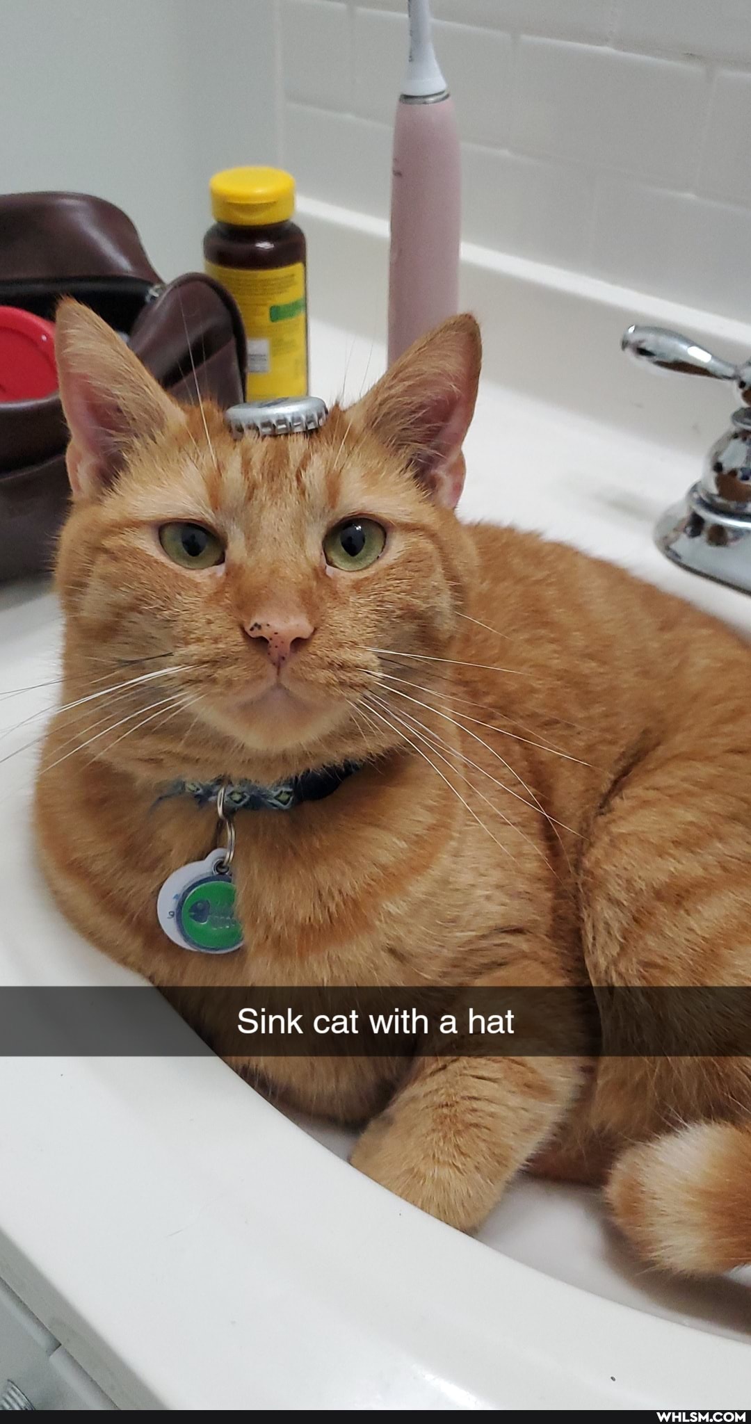 Sink cat with a hat
FE if