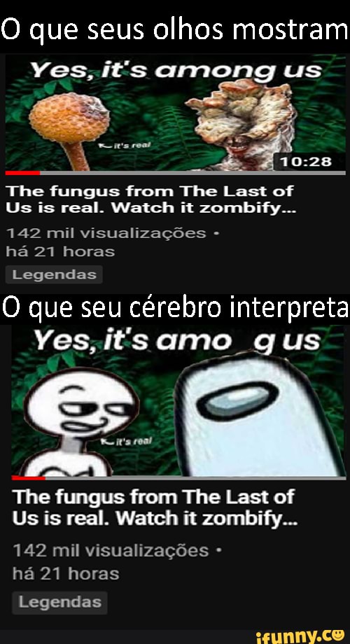 O que seus olhos mostram
Yes, it's
The fungus from The Last of
Us is real. Watch it zombify...
142 mil visualizações - há 27 horas
Legendas
O que seu cérebro interpreta
Ves; omo .g us
(es
The fungus from The Last of
Us is real. Watch it zombify...
142 mil visualizações - há 21 horas
Legendas