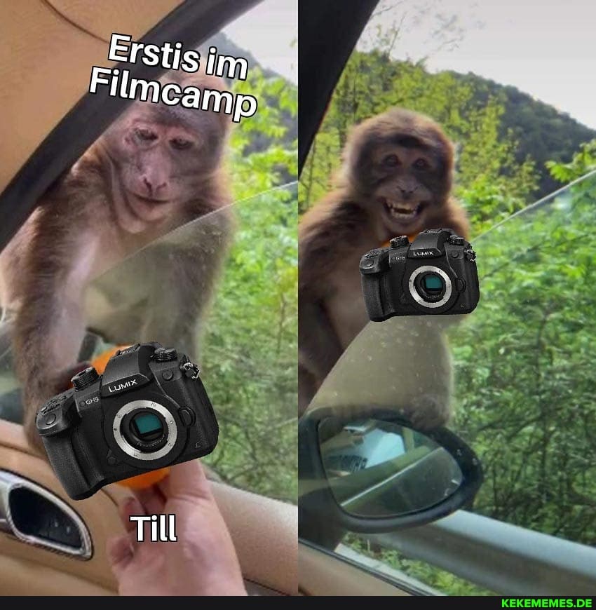 FStisfimI
al
at
Till
