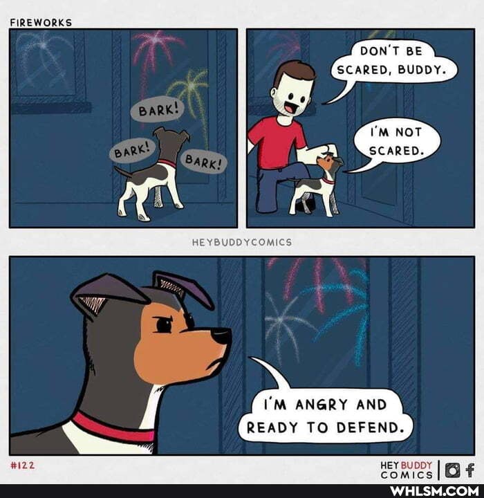 FIREWORKS
DON'T BE SCARED, BUDDY.
NOT
SCARED.
HE YBUDDYCOMICS
I'M ANGRY AND READY TO DEFEND.