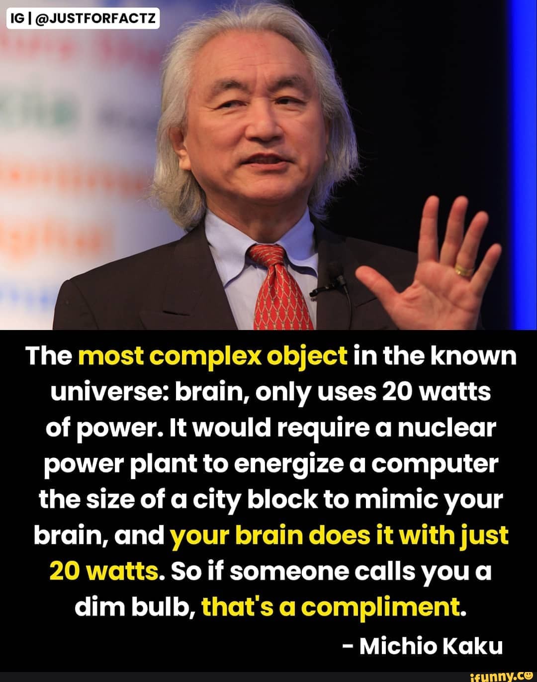 ig-i-justforfactzi-the-most-complex-object-in-the-known-universe