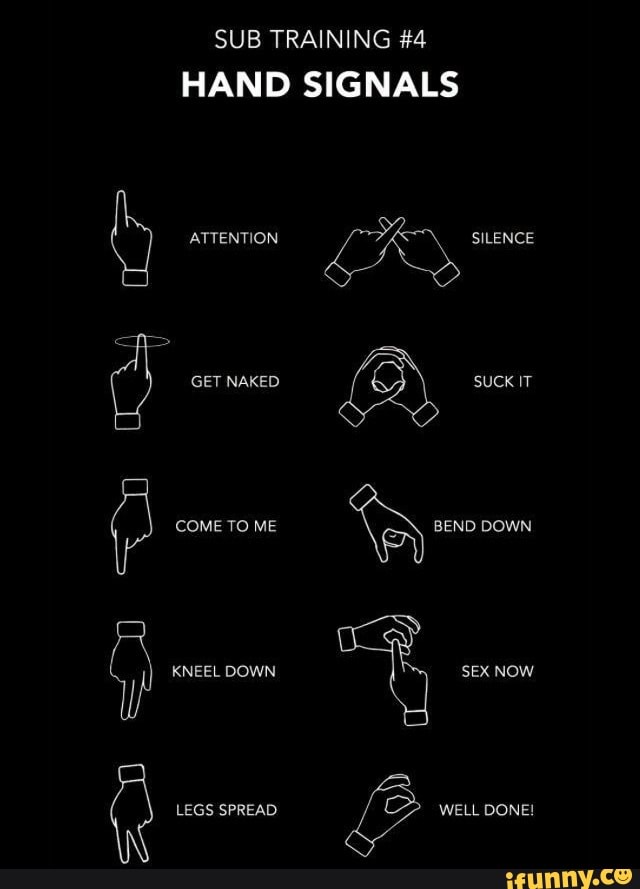 Sub Training 4 Hand Signals Attention Get Naked Come To Me Kneel Down