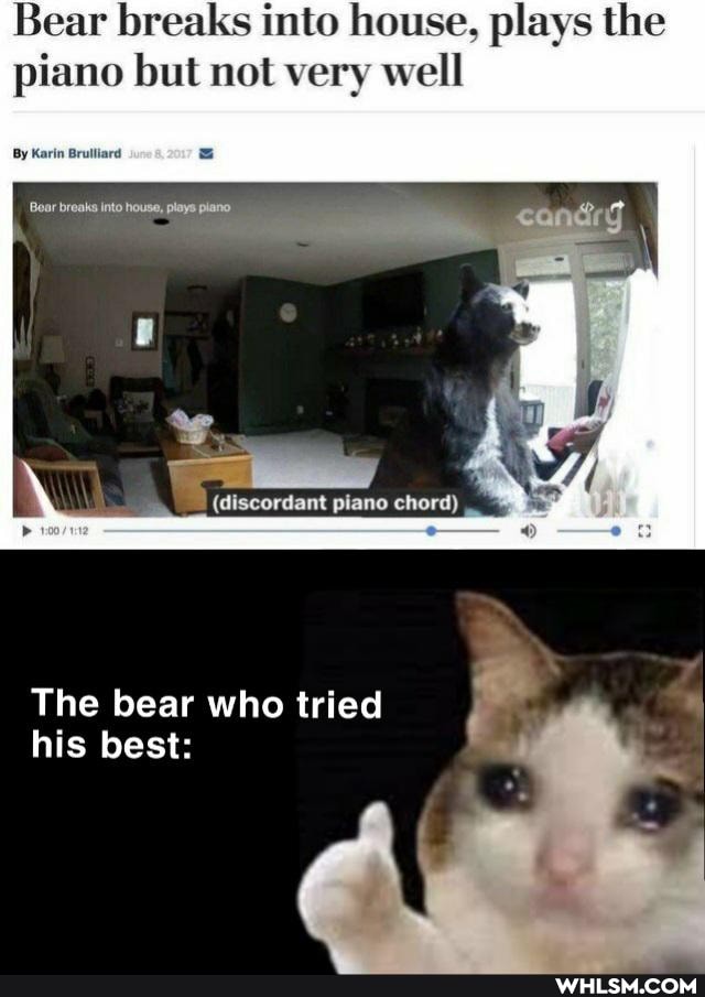Bear breaks into house, plays the piano but not very well
By Karin Brulliard
plane chord)
The bear who tried his best: