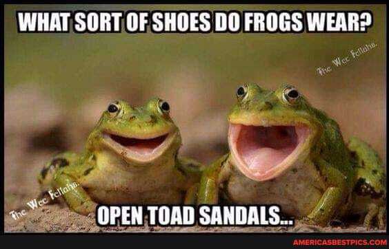 WHAT SORT OF, SHOES DO FROGS WEAR?
we OPEN THAN SANDAIS