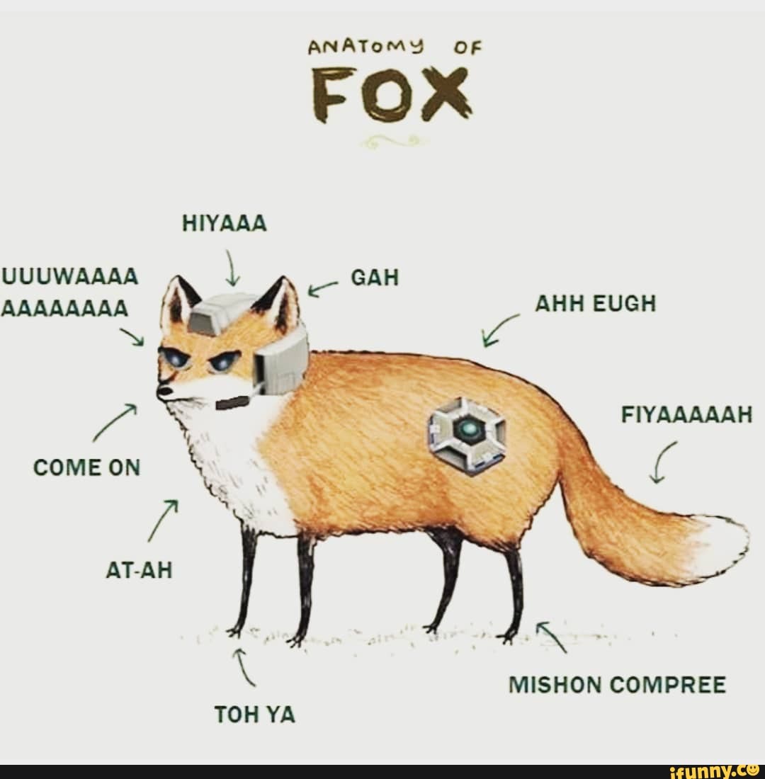 ANATOMY OF
FOX
\ MISHON COMPREE
