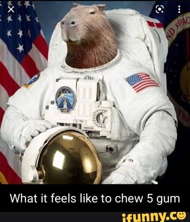 What It Feels Like To Chew 5 Gum