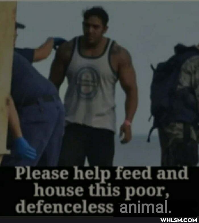 Please help feed and house this poor,
defenceless animal