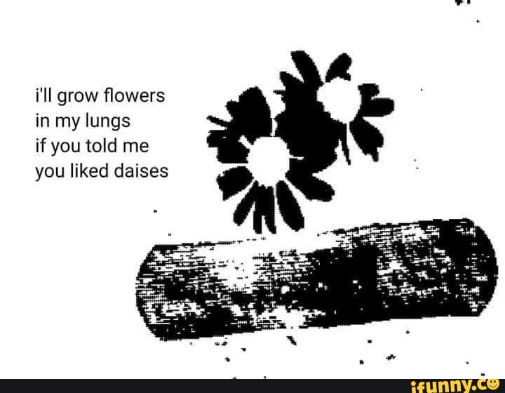 I'll grow flowers in my lungs if you told me you liked daises iFunny