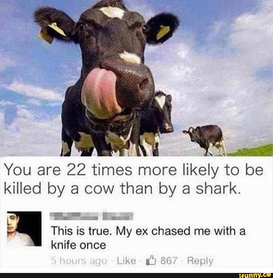 you-are-22-times-more-likely-to-be-killed-by-a-cow-than-by-a-shark-mys