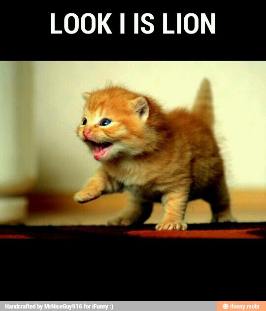 LOOK I IS LION
