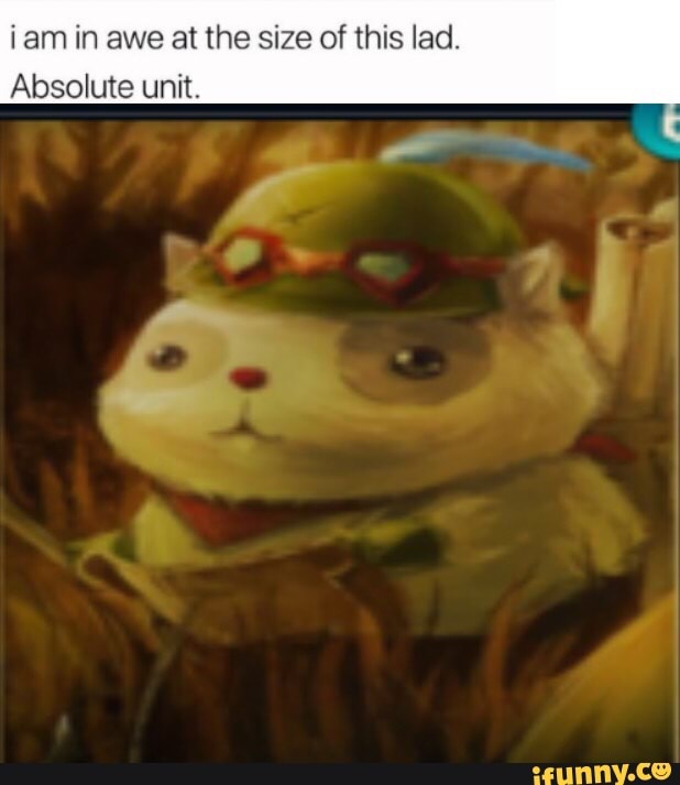 I am in awe at the size of this lad. Absolute unit. - iFunny