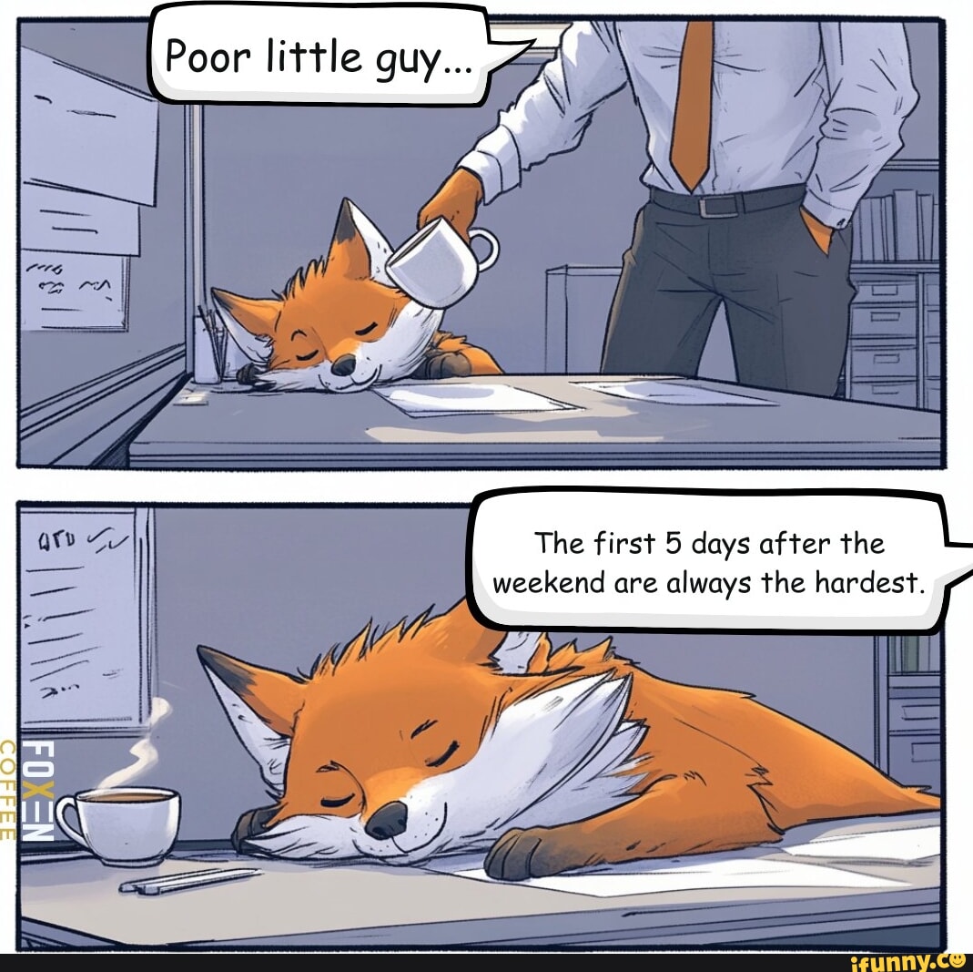 Poor little guy... The first 5 days after the weekend are always the ...