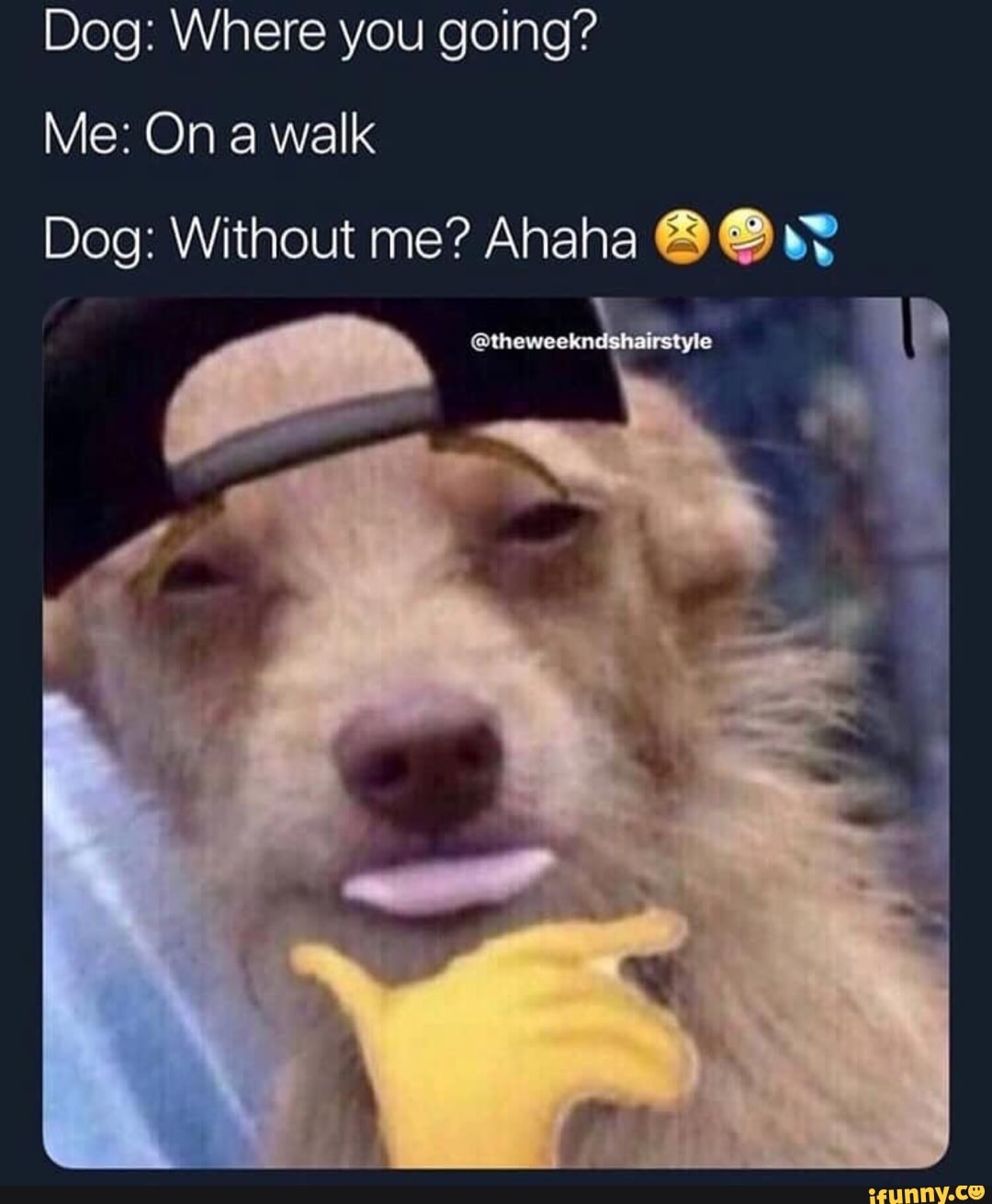 Dog Where You Going Me On A Walk Dog Without Me Ahaha O C R