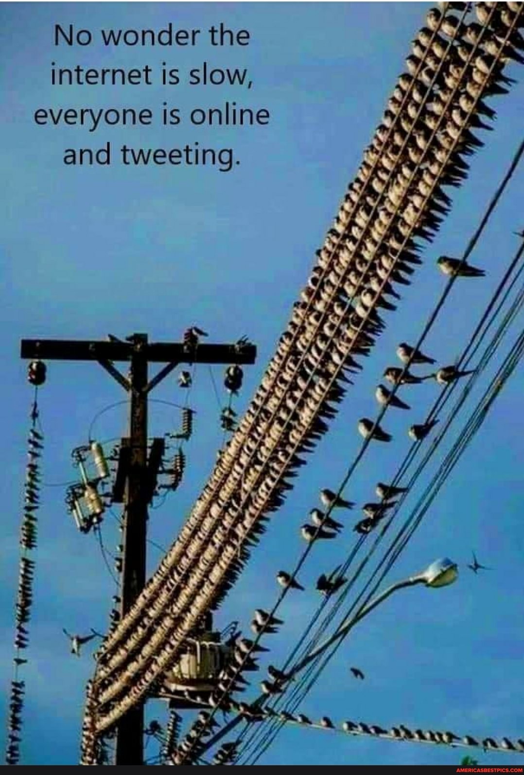 No wonder the internet is slow, everyone is online and tweeting.
A AS