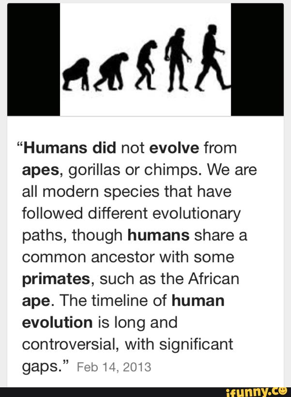 “Humans did not evolve from apes, gorillas or Chimps. We are all modern ...