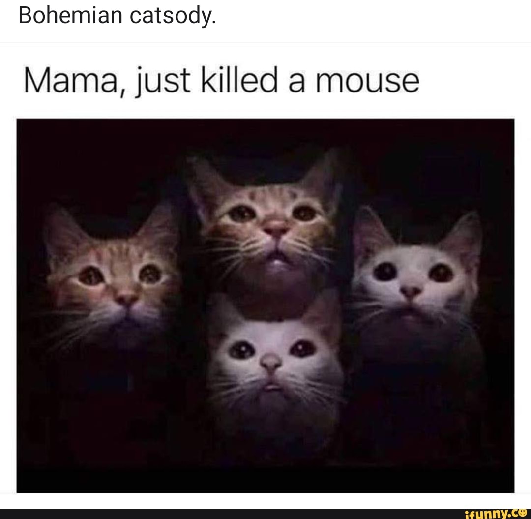 Bohemian Catsody Mama Just Killed A Mouse Ifunny