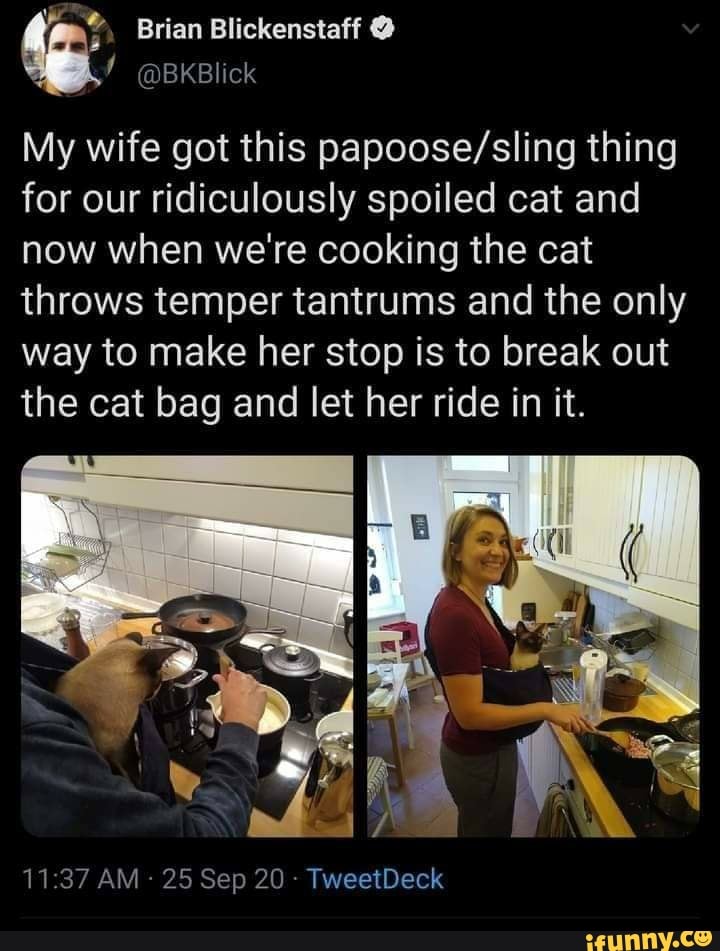 Brian Blickenstaff
My wife got this thing for our ridiculously spoiled cat and now when we're cooking the cat throws temper tantrums and the only way to make her stop is to break out the cat bag and let her ride in it.
AM 25 Sep 20 - TweetDeck