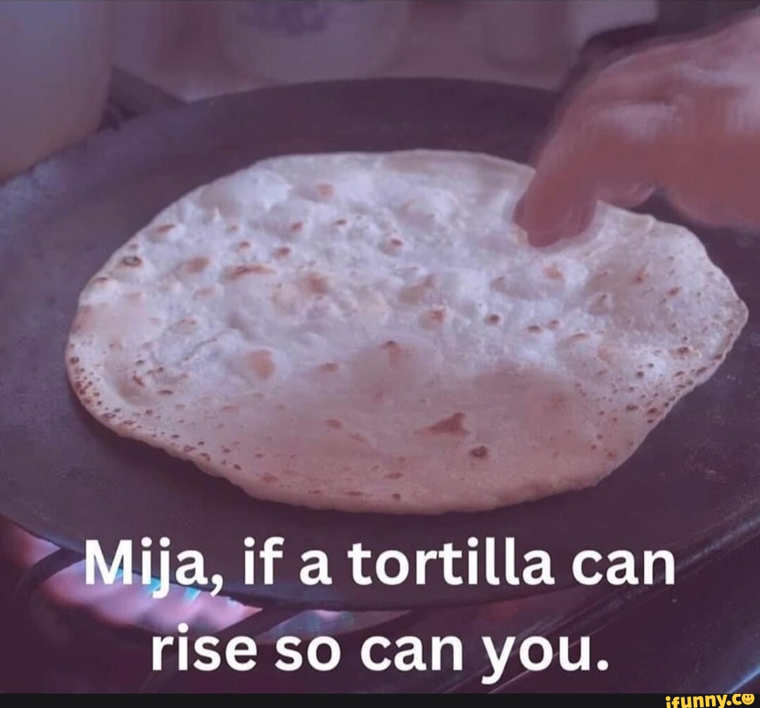 Driver who kicked stray dog watches car get destroyed after same dog