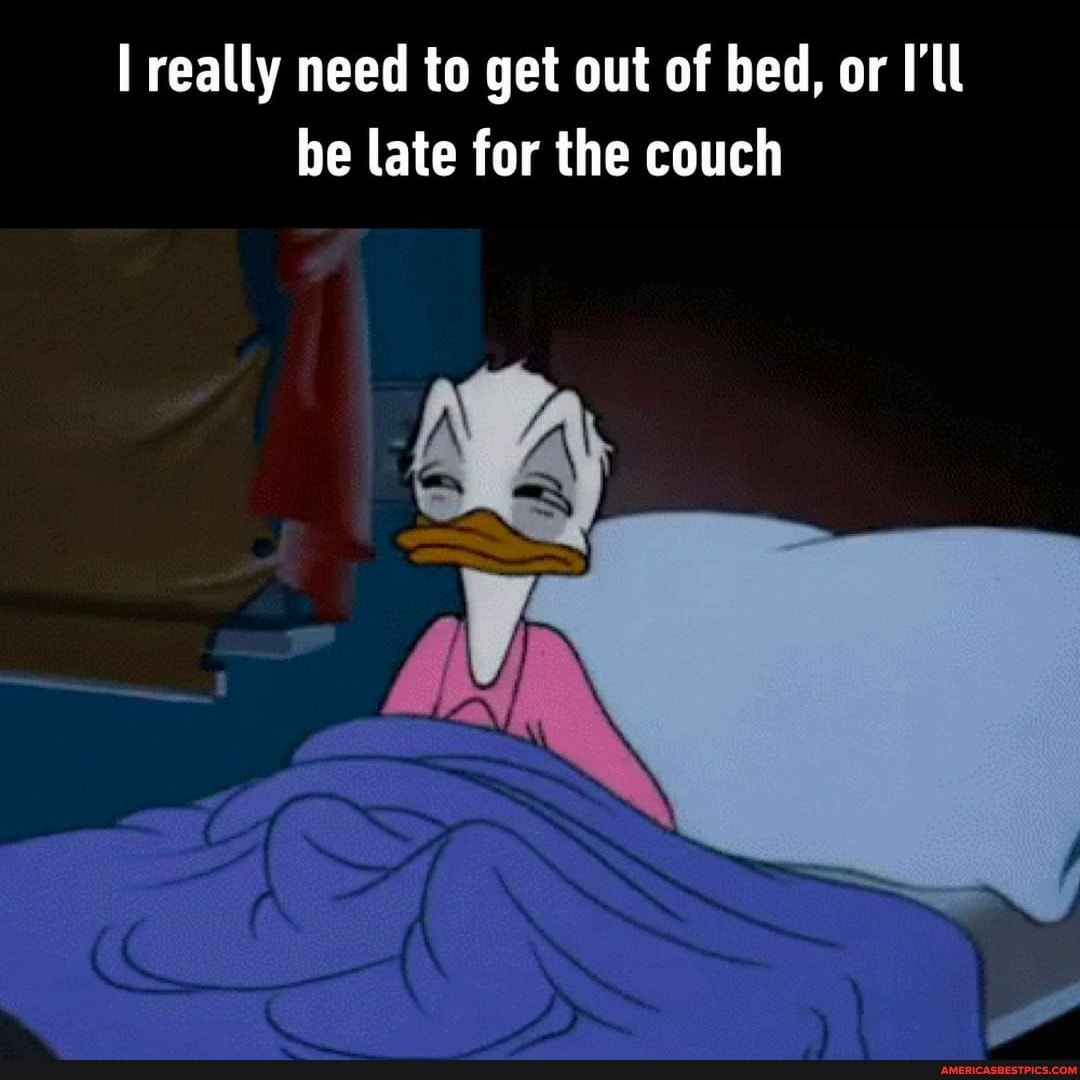 really need to get out of bed, or I'll be late for the couch
aN