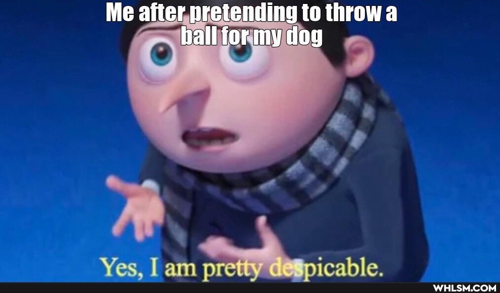 Me after pretending to throwa hall for my dog
Jam wreth
