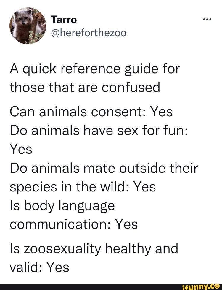 A quick reference guide for those that are confused Can animals consent