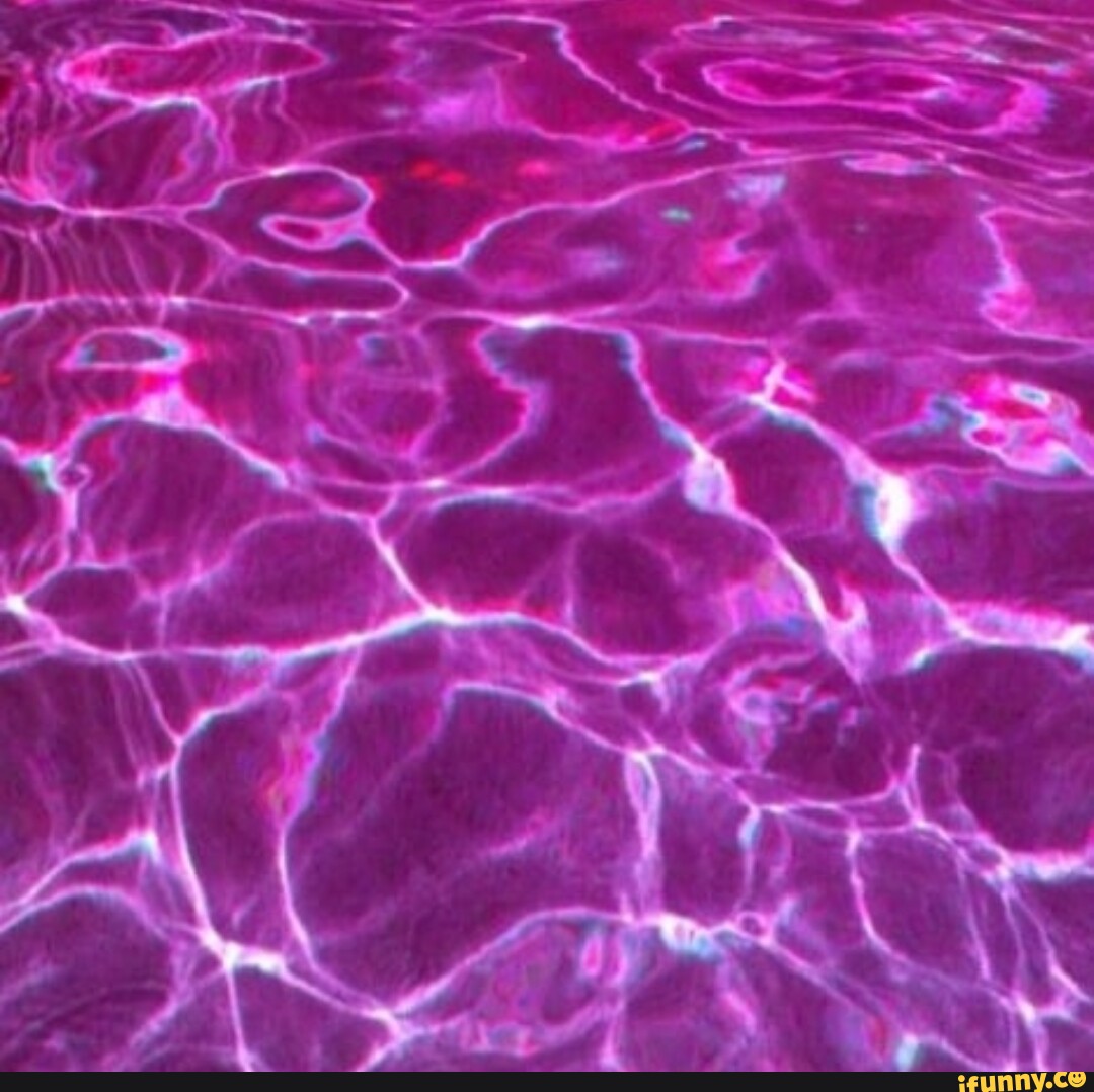 Fuchsiaaesthetic memes. Best Collection of funny Fuchsiaaesthetic