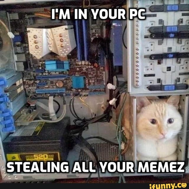 I'M IN YOUR PC
~STEALING ALL YOUR MEMEZ
