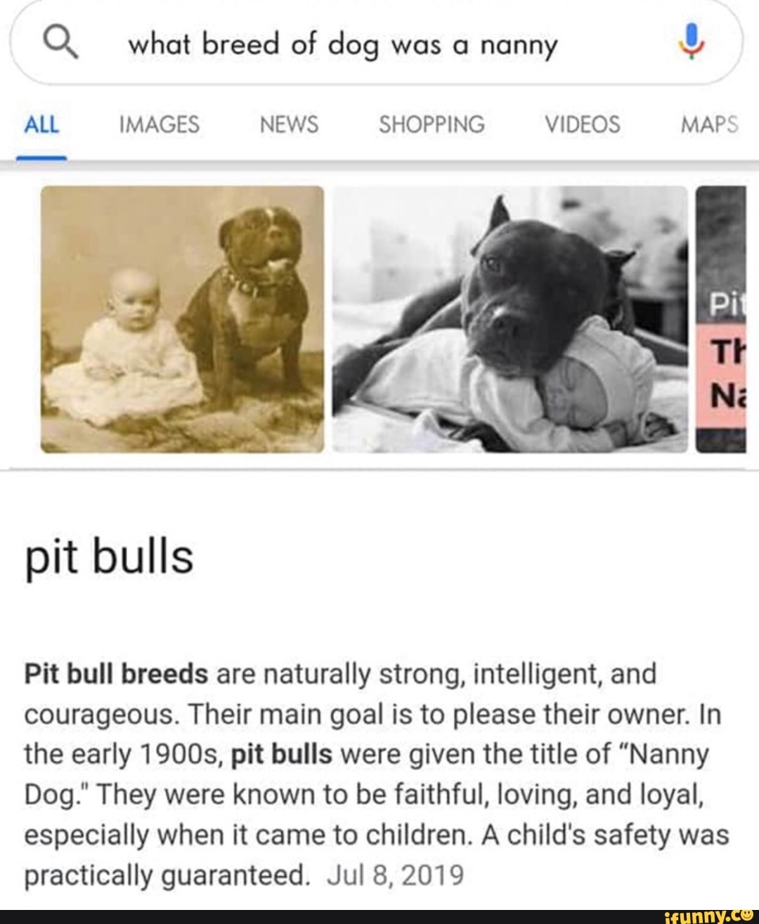 are pitbulls considered nanny dogs