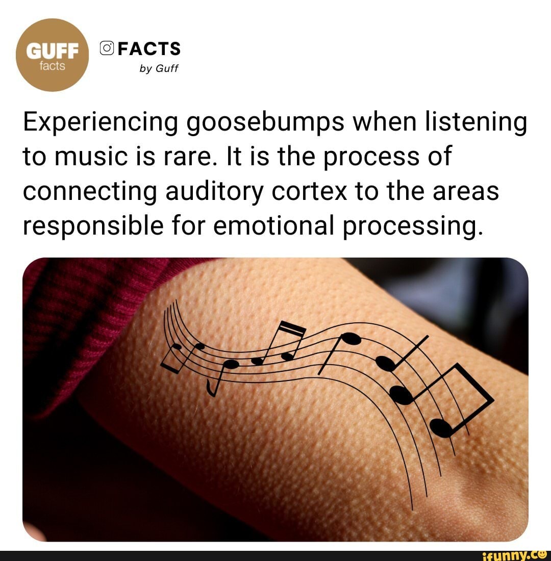FACTS by Guff Experiencing goosebumps when listening to music is rare