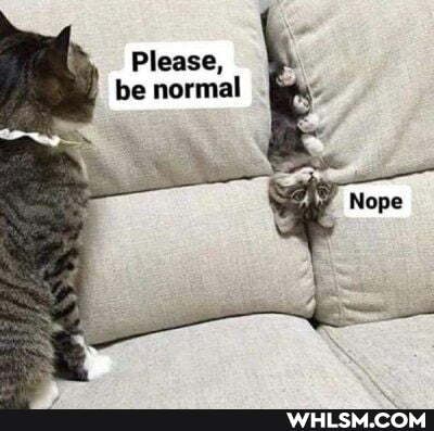 Please, be normal