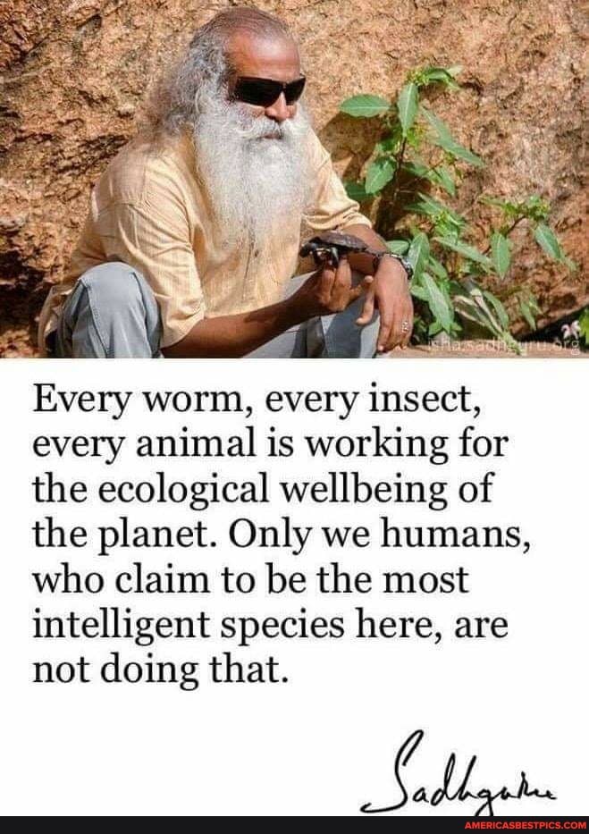 Every worm, every insect, every animal is working for the ecological wellbeing of the planet. Only we humans, who claim to be the most intelligent species here, are
not doing that.