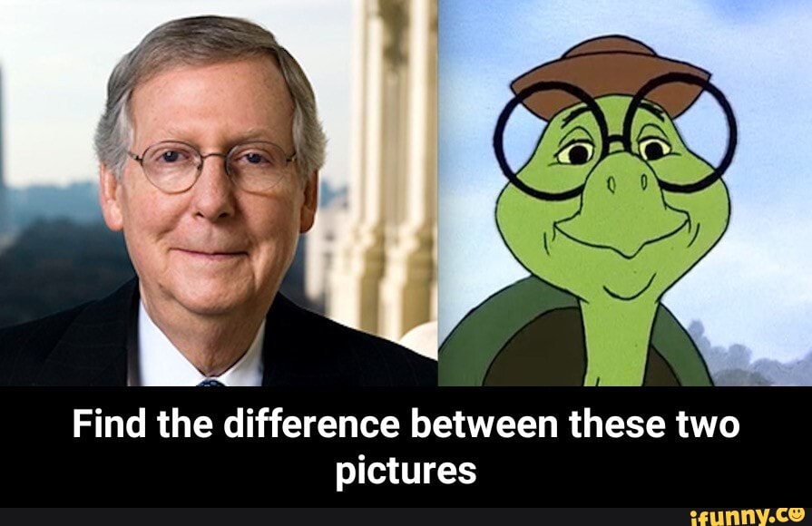 Find the difference between these two pictures - Find the difference ...