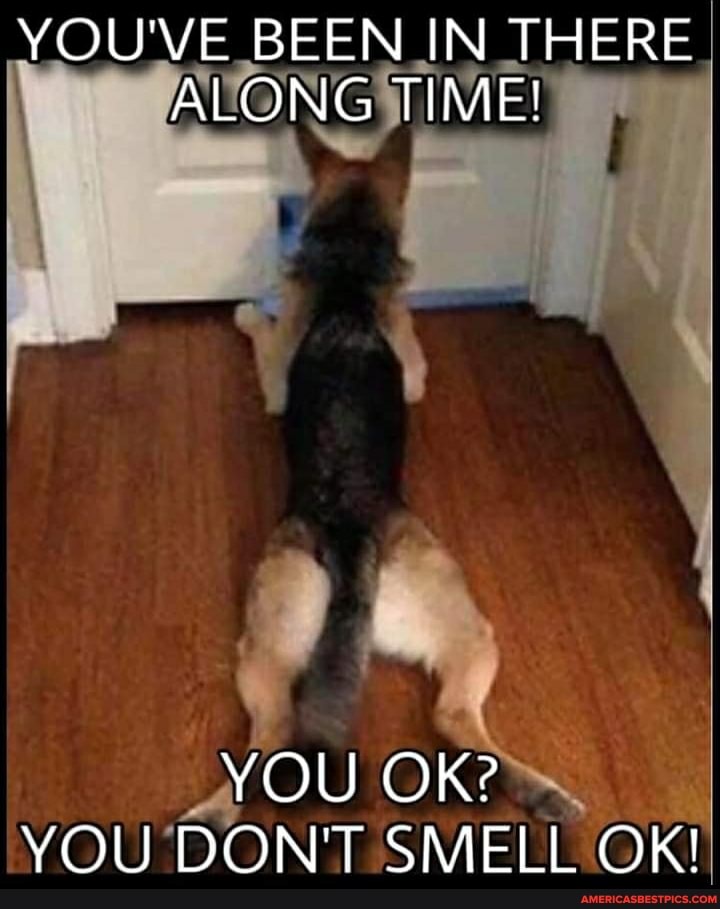 YOU'VE BEEN IN THERE ALONG TIME!
YOU OK?
YOU DON'T SMELL OK!