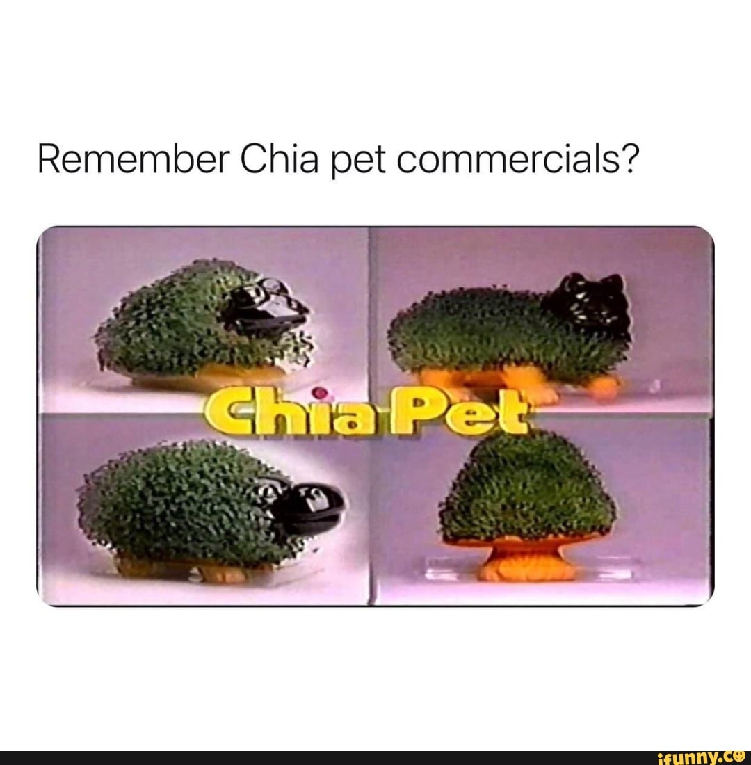 Chia memes. Best Collection of funny Chia pictures on iFunny