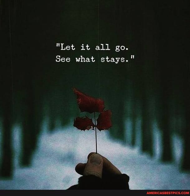 Let it all go