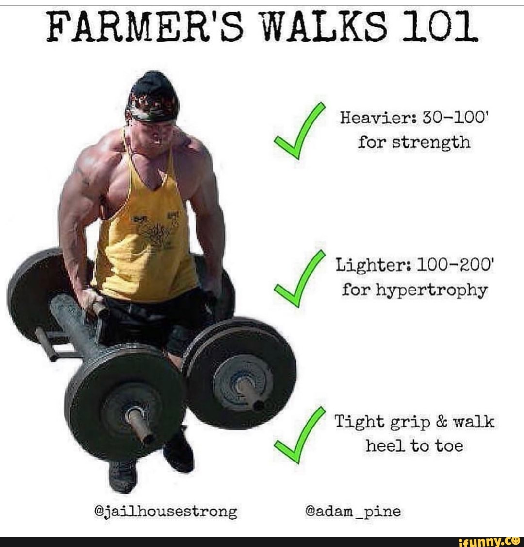 FARMER'S WALKS 101
Tight grip walk
@adam_pine @jailLhousestrong