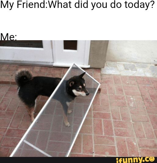 My did you do today?