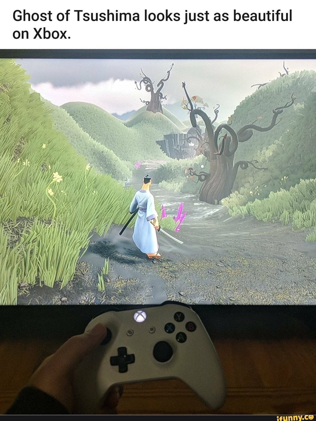 Ghost of Tsushima looks just as beautiful on Xbox.
Se