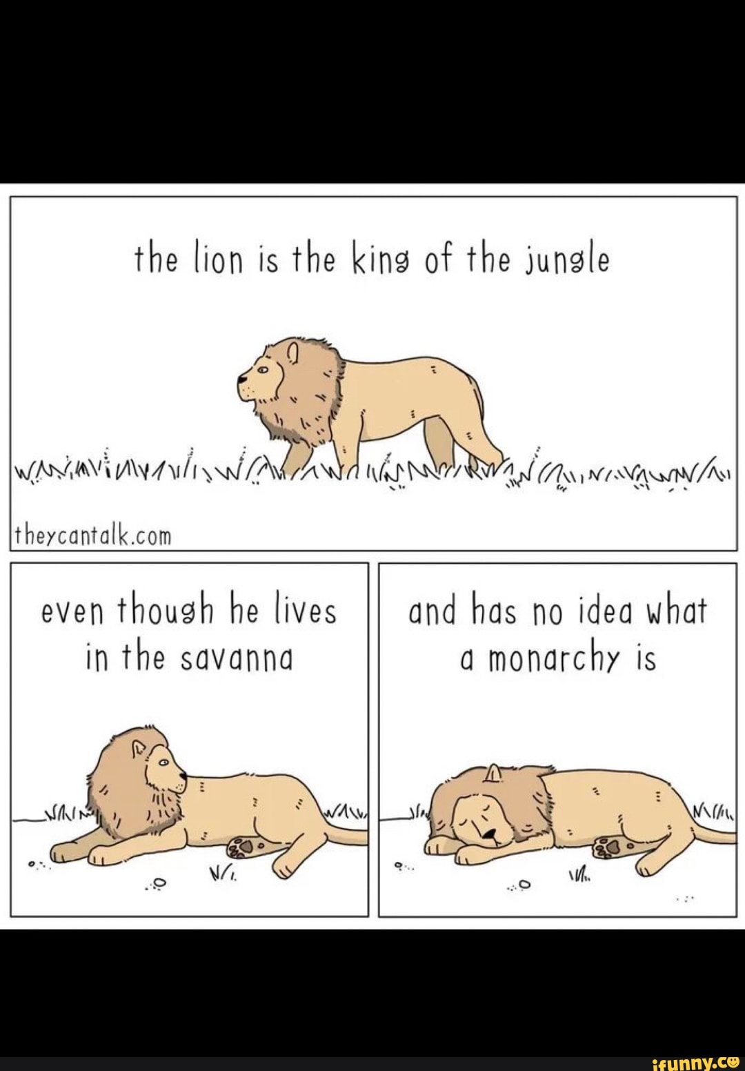 the lion is the king of the jungle
even
though he lives
in savanna
and has no idea what
monarchy is